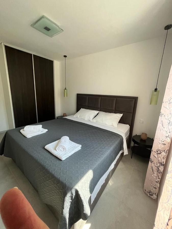 Haus Dalmatia With Heated Pool Διαμέρισμα Bibinje Εξωτερικό φωτογραφία